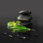 garden zen live wallpaper android application logo